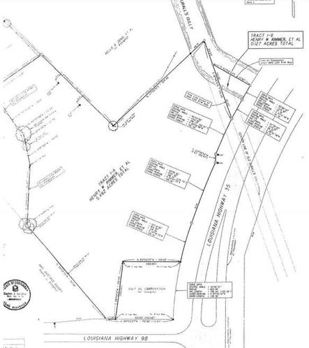 Rayne LA Development Parcel: Hwy 35, Rayne, LA 70578